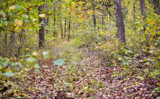 Land For Sale Stockton Lake Missouri