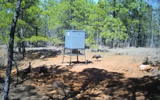 Recreational Hunting Land with Seasonal View of Lake of the Pines