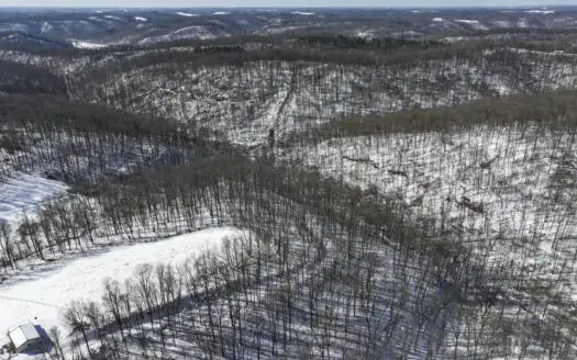 Tract 4 Prime Hunting & Recreational Land in Monroe County