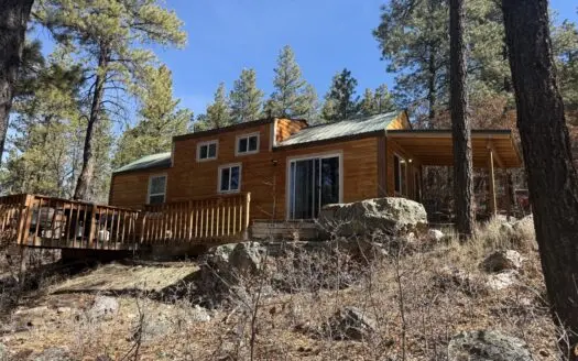 Cozy Fishing Cabin on +/- 5.09 AC in Ticonderoga S/D