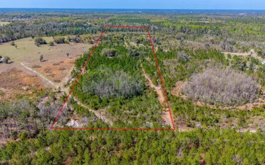 28 Acres Of Vacant Land For Sale In Live Oak, FL!