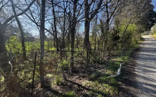 .51 Acre Buildable Lot For Sale in Grainger County, TN