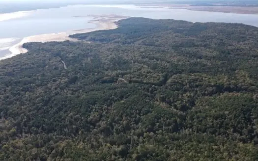 Carver Point Timber Tract in Grenada Co at Grenada Lake