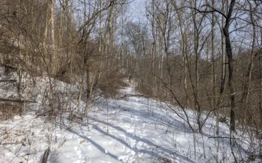 Tract 11- With road frontage allowing for potential split