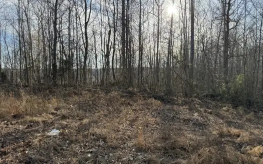 75.15+/- Acres – Hunting Land – Mostly Wooded – Liberty, KY.