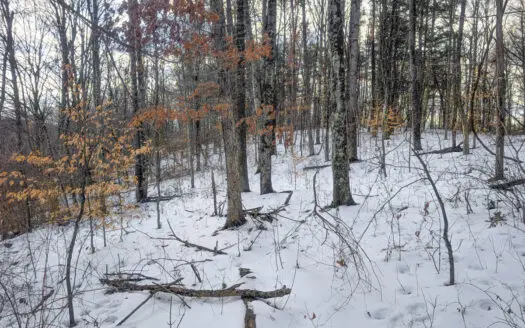 Tract 13 – This old home site along the road with split potential