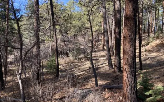 Mountain Property Near Chama New Mexico