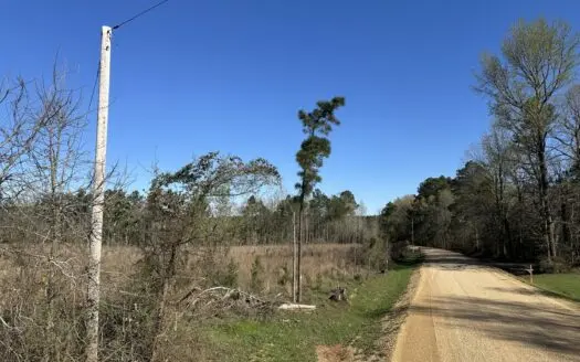 Bradley County Young Pine Timberland Property for Sale!