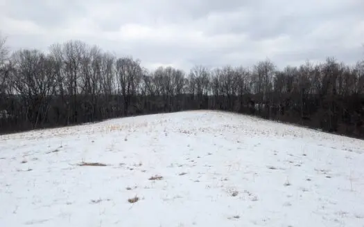Outdoorsman Dream Noble County Timberland Tract 12