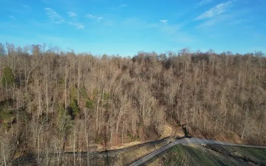 75.15+/- Acres – Hunting Land – Mostly Wooded – Liberty, KY.