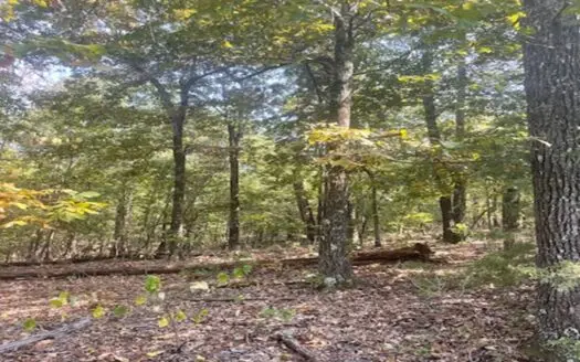 55 Acres Mountain Top With Spectacular Views