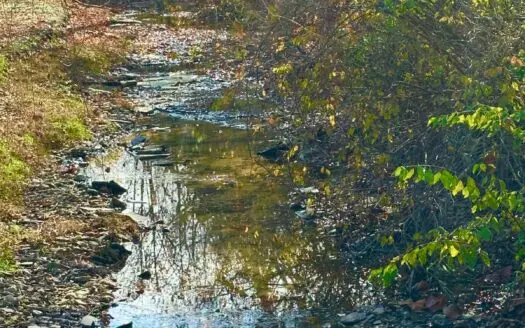 54.88 acres Multiple Building Sites in a Scenic Country Setting