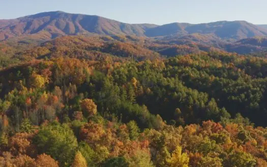Unrestricted Acres Bordering the Cherokee National Forest East TN