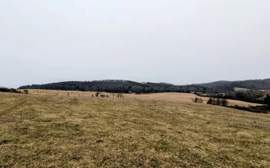 Farmland for Sale at Auction in Hillsville VA