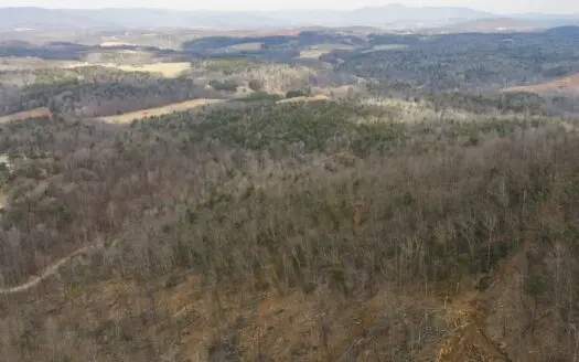 Large Recreational Tract for Sale in Ferrum VA