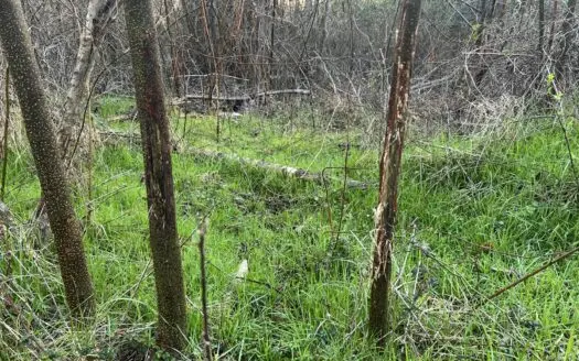 Autauga County | 106 Acre Tract