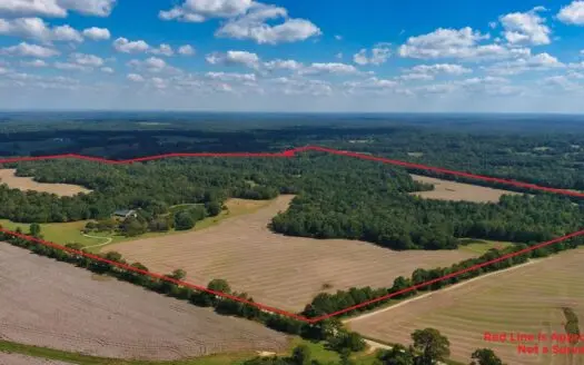 300 Acre+/- Private Estate For Sale In Tn, 2 Homes, Lake