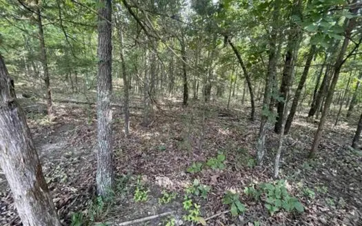 Cabin in the Ozarks with 2.43 ac for sale Ash FLat, AR