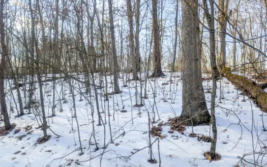 Tract 16 Washington County Large Acreage Hunting and Timber