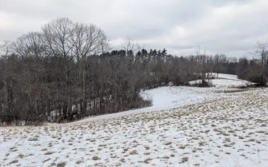 Outdoorsman Dream Noble County Timberland Tract 12