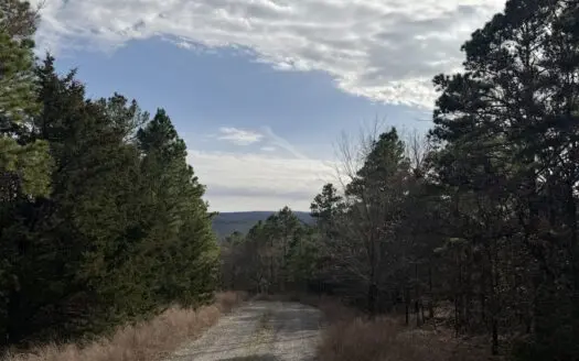 Cabin and 20 acres off grid cabin in Red Oak, OK