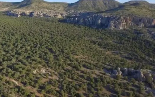 160 Acres with Spring & Wildlife | Fort Rock Ranches