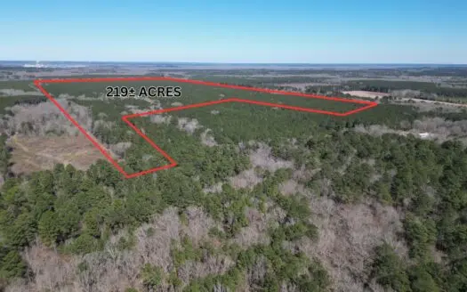 Legacy +/-420-Acre Texas Land Investment Near Texarkana