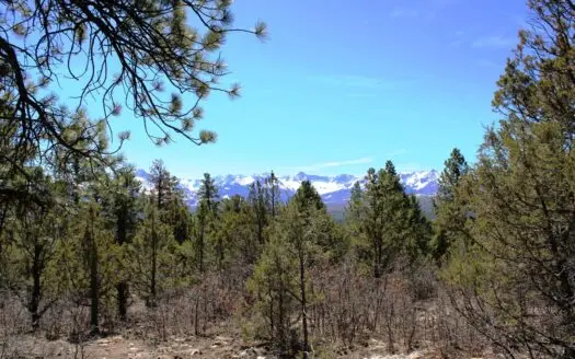 Colorado Mountain Land For Sale