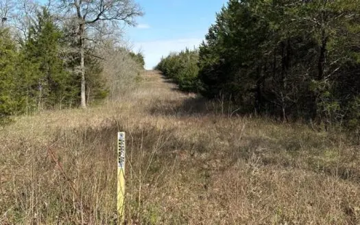 40 ± Acres for Sale in Valliant, Oklahoma