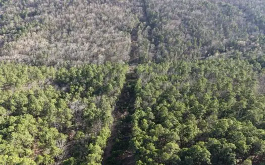 30 Acre Hunting Property FOR SALE | Water Tower Road