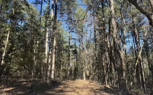 Land for Sale in North Central Arkansas Perfect for Hunting