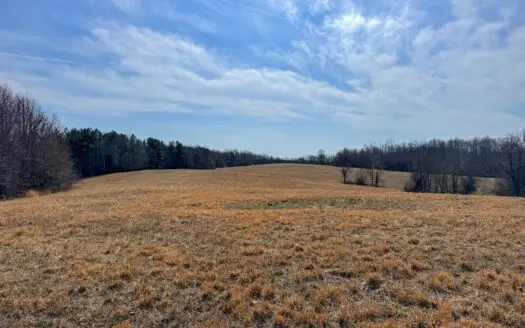 84-Acre Vernon Hill VA Estate: Timber, Trails, & Creek Frontage
