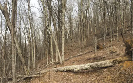 Large Land Tract for Sale in Zionville, NC