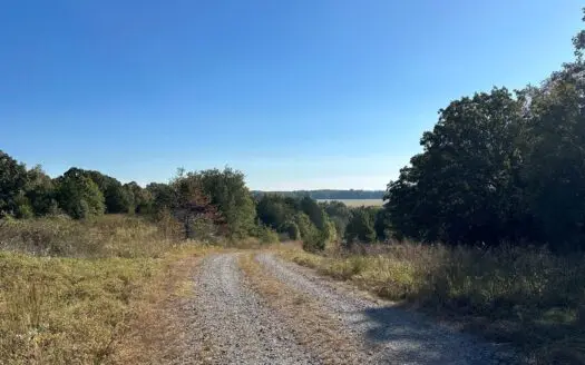 87+/- Acres For Sale North of Velvet Ridge, AR off Hwy 167 N