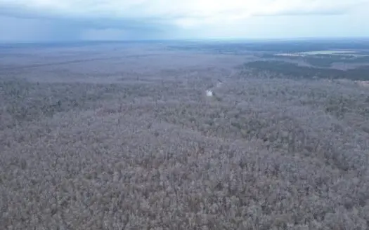 431± Acres with Calcasieu River Frontage in Calcasieu Parish