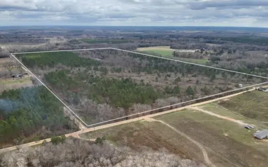 86± Acres with Pond in Slocomb, AL – Unrestricted Land