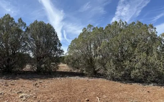 Northern AZ Land with Access to Lake, No HOA Show Low AZ