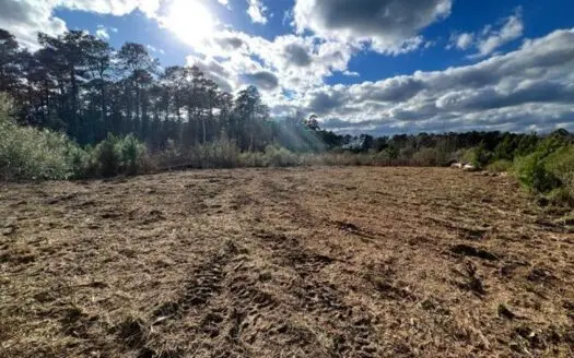 66.5 Acres Amite County MS joins the Homochitto National Forest