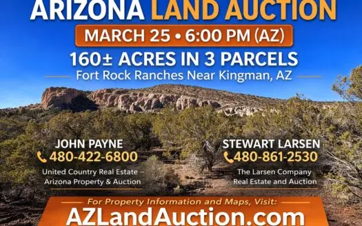 Online Land Auction – 160± Acres in 3 Parcels Near Kingman, AZ