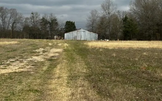 Small Acreage For Sale in Mt Pleasant, Titus County Texas