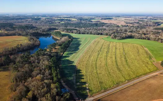 177 acres on Demott Rd, Hartsfield, GA offers blend of farmland &