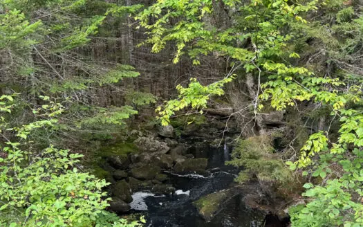 50 Acre Parcel in Downeast Maine – Northfield