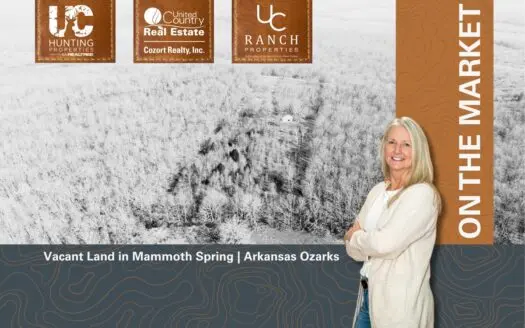 Acreage for sale in the Arkansas Ozarks | Mammoth Spring