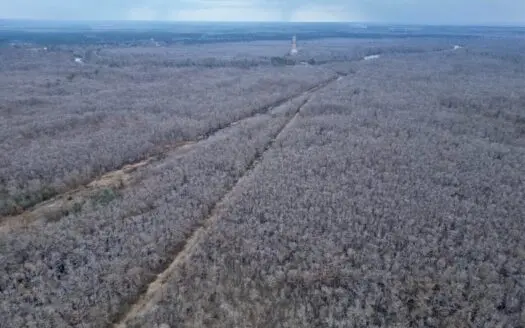 431± Acres with Calcasieu River Frontage in Calcasieu Parish