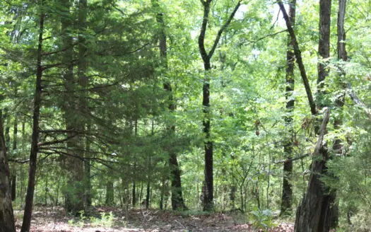 Lot 40 In Lakeshore Acres Gated Subdivision on Bull Shoals Lake