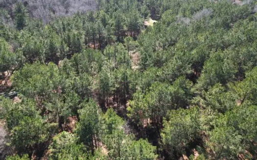 Legacy 420 Acre Texas Land Investment Near Texarkana