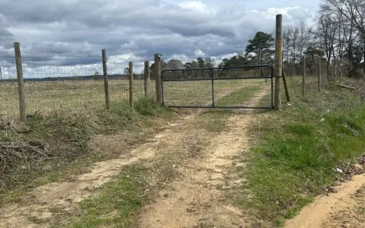 13.8 Acre – Mini Farm in Maplesville, AL.