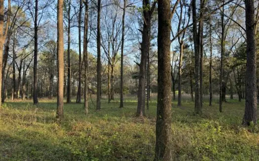 Charming 3.18 Acre Retreat in Claiborne, Alabama