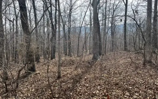 Hunting Land For sale Searcy County Arkansas