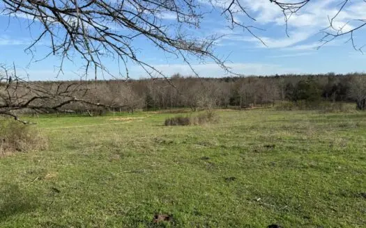 39.93 Acres for Sale in Rattan, Oklahoma